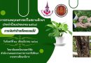 โครงการสวนพฤกษศาสตร์ในสถานศึกษา ประจำปีการศึกษา 2568